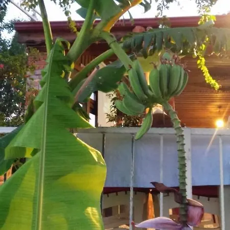 Lejlighedshotel Garden Evita